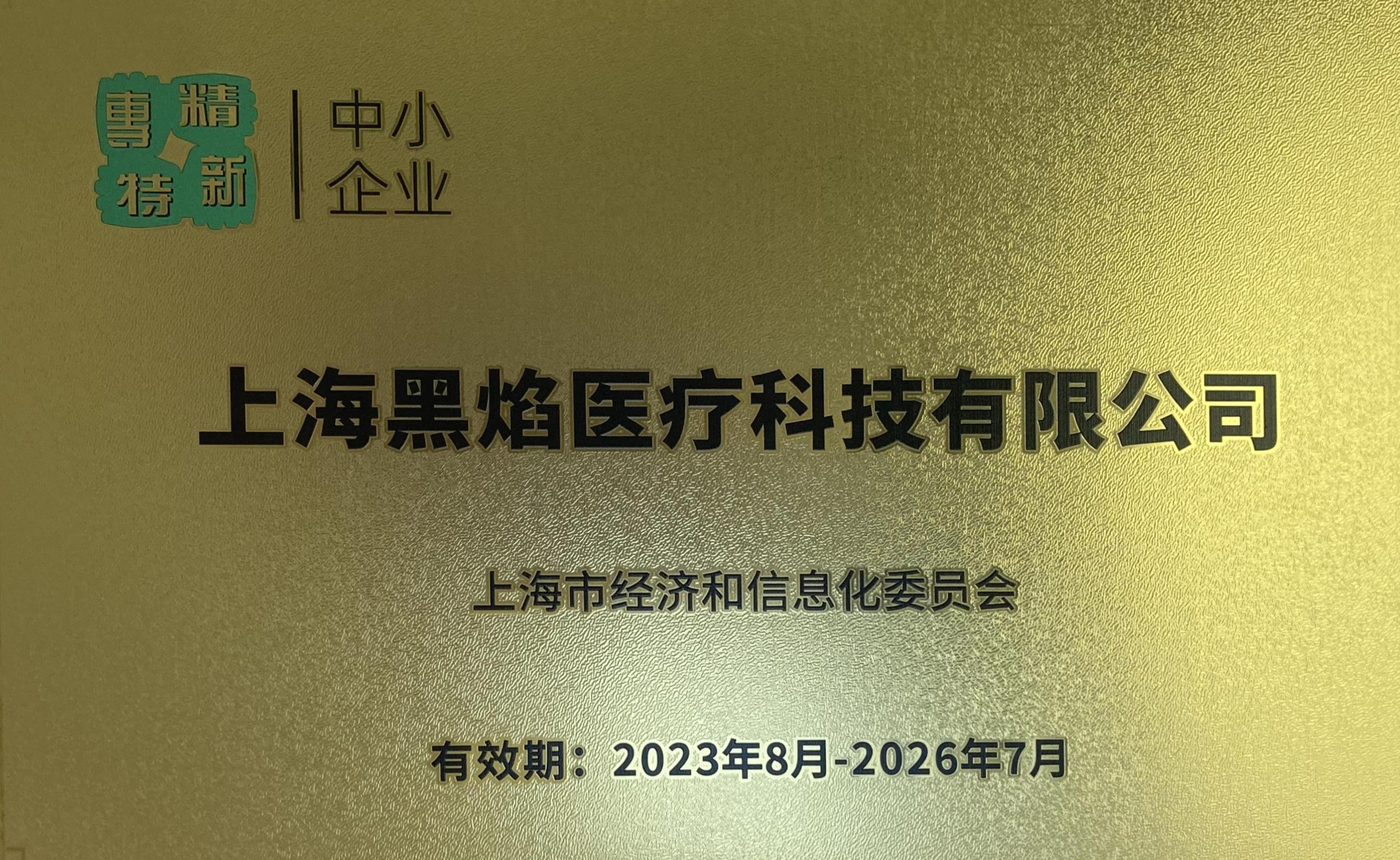 2上海市专精特新企业